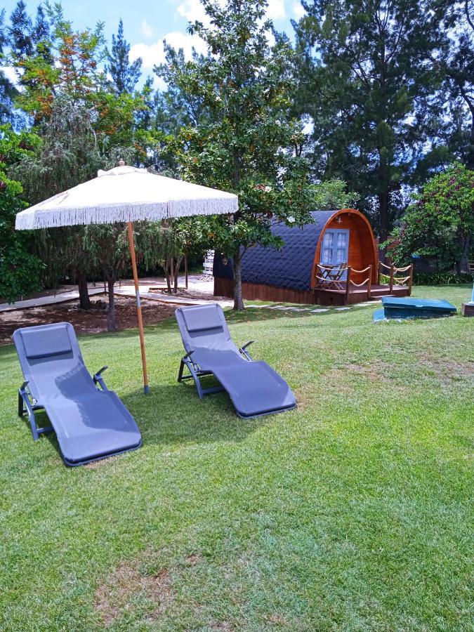 Alfaro'95 Hotel Azambuja Ngoại thất bức ảnh